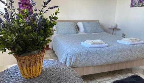 One-Bedroom Apartment with Park View