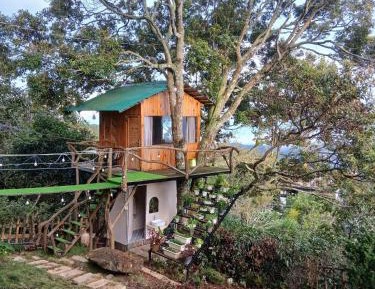 Double Room with Mountain View