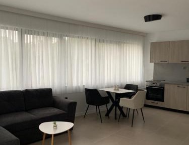 One-Bedroom Deluxe Apartment