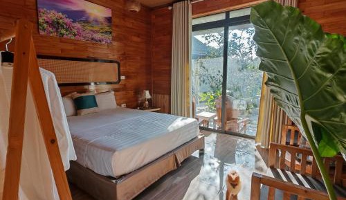 King Room with Garden View