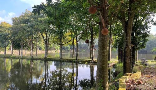 Bungalow with Garden View