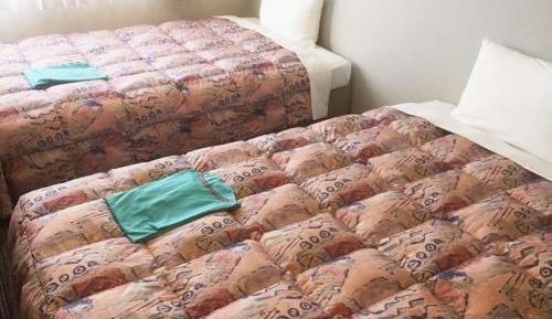 Twin Room - Non-Smoking