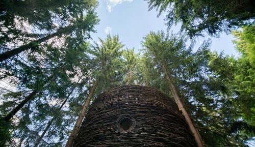 Cabane dans les arbres NID