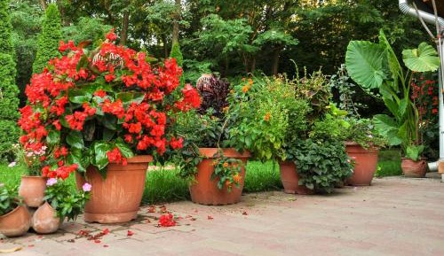 Three-Bedroom Townhouse