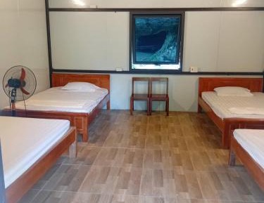 Single Bed in Mixed Dormitory Room