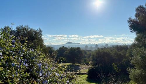 One-Bedroom Apartment with Lake View