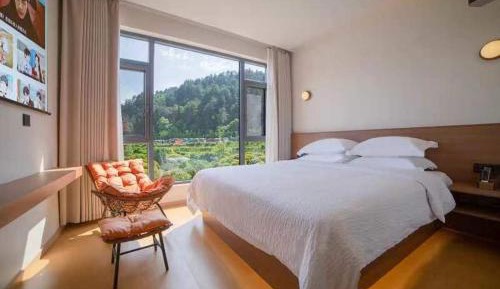 King Room with Garden View