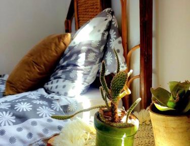 Twin Room with Mountain View