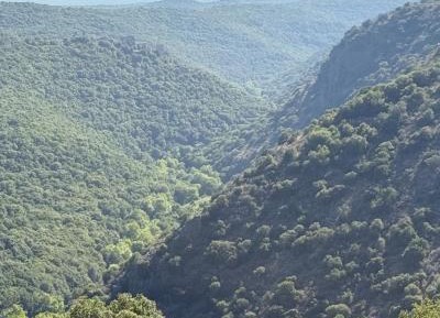 King Room with Spa Bath