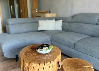 Apartment with Lake View