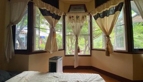 Single Bed in 4-Bed Dormitory Room