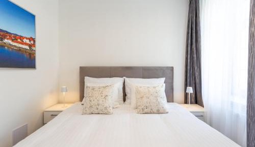 Deluxe One-Bedroom Apartment