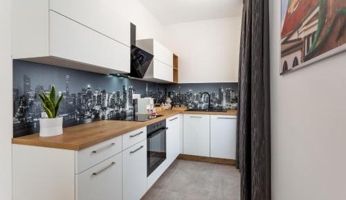 Deluxe One-Bedroom Apartment