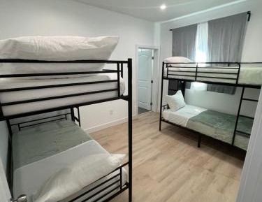 Bunk Bed in Male Dormitory Room 
