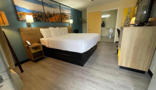Single Room - Disability Access