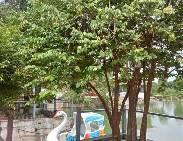 Quadruple Room with Garden View