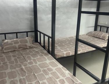 Bed in 4-Bed Male Dormitory Room