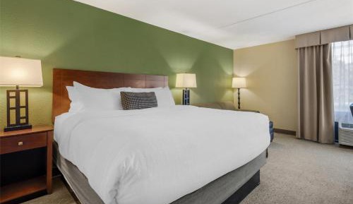 King Room with Sofabed