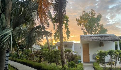 Double Room with Patio