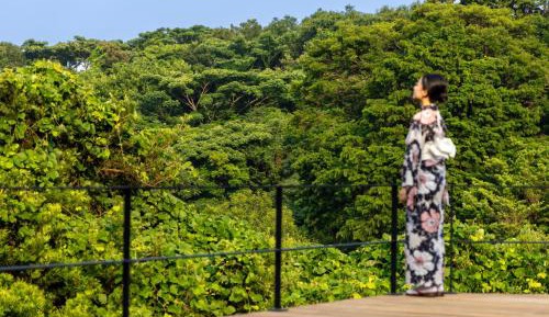 Family Room with Mountain View
