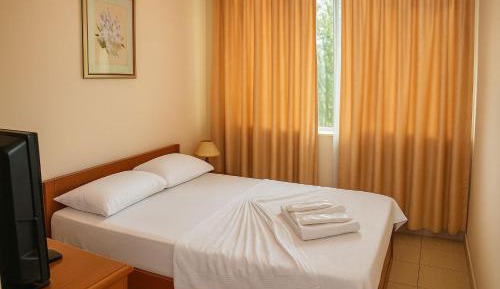 Basic Triple Room