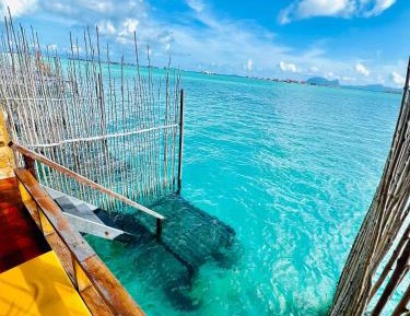 Family Room with Balcony