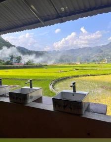 Single Bed in 10-Bed Dormitory Room