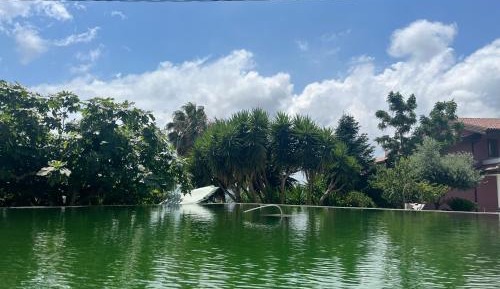 Double Room with Shared Toilet