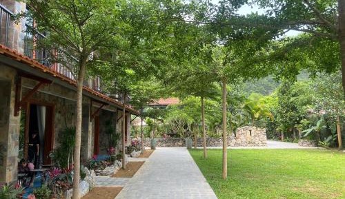 Bunk Bed in Mixed Dormitory Room