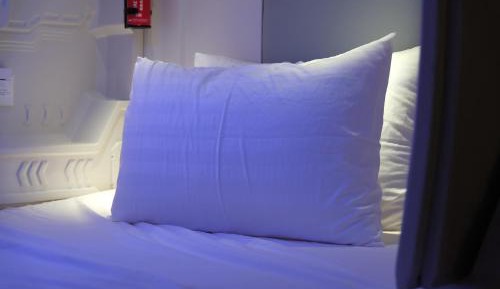 Bunk Bed in Female Dormitory Room  