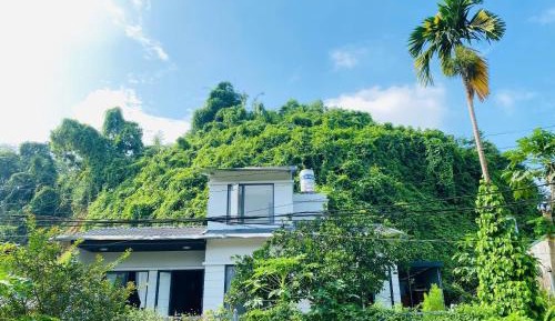 One-Bedroom Apartment with Garden