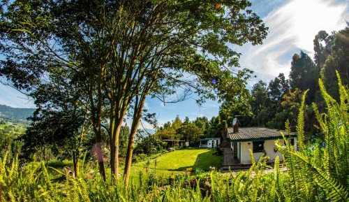 Villa with Garden View