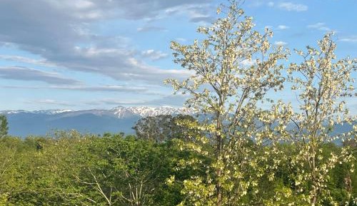 Double Room with Sea View