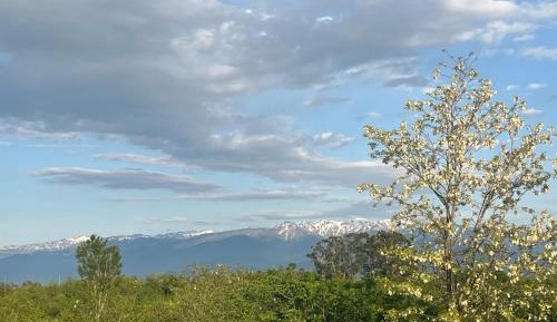 Triple Room with Shared Bathroom