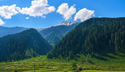 Premium Balcony Room