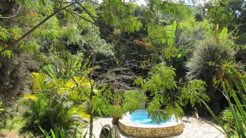 Suite with Pool View