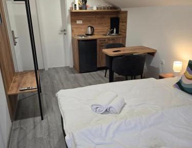 Studio Apartment with King Bed