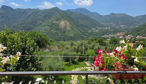 King Room with Mountain View