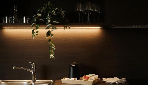 Studio with Mountain View