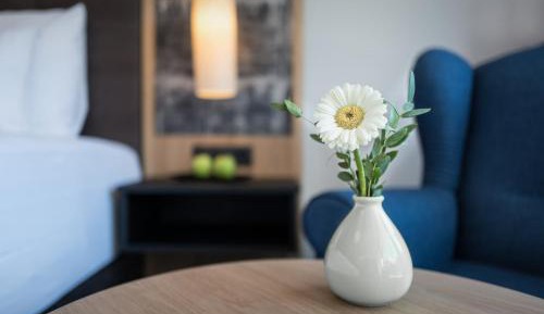 Double Room with Infrared Cabin