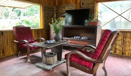 Bed in 10-Bed Mixed Dormitory Room