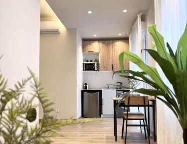 Apartment with Terrace