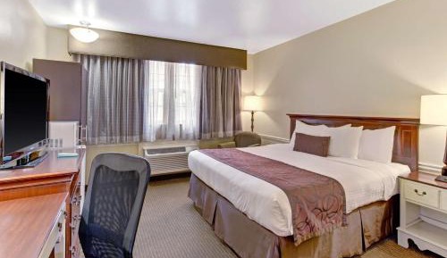 King Room - Disability Access - Non-Smoking