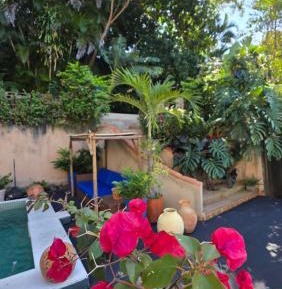 Double Room with Pool View