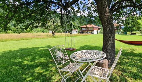 One-Bedroom Apartment with View