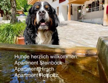 Two-Bedroom Apartment with Shower 