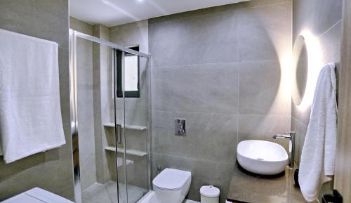 Deluxe One-Bedroom Apartment