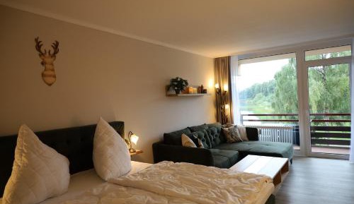 One-Bedroom Apartment with Lake View