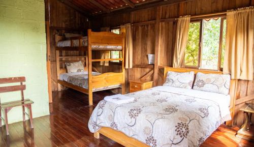 Double or Twin Room with Swimming Pool Access