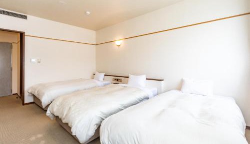 Triple Room with Mountain View